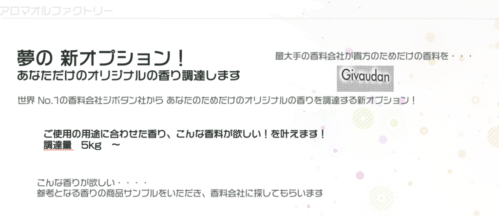 夢の 新オプション!